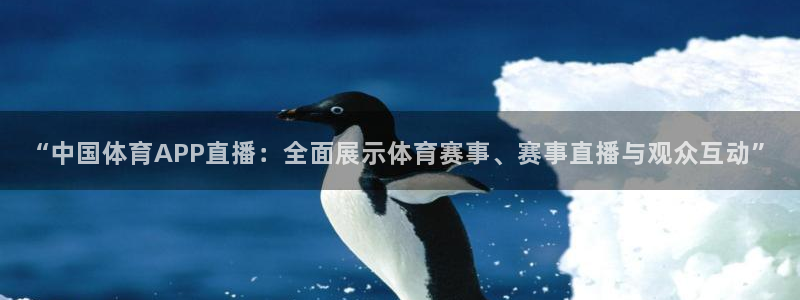 “中国体育APP直播：全面展示体育赛事、赛事直播与观众互动”