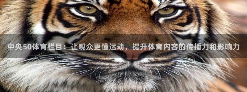 中央50体育栏目：让观众更懂运动，提升体育内容的传播力和影响力