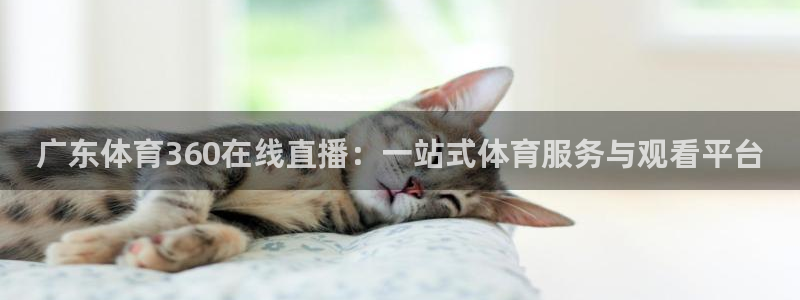 广东体育360在线直播：一站式体育服务与观看平台